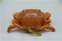 藏品(紅指蟳)的圖片